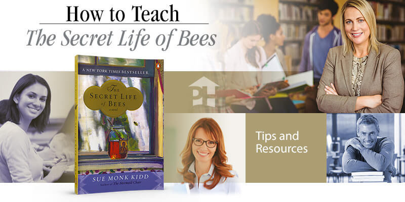 How To Teach The Secret Life Of Bees Prestwick House